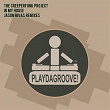 In My House (Jason Rivas Remixes) | The Creeperfunk Project