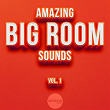 Amazing Big Room Sounds, Vol. 1 | Bsharry