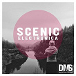 Scenic Electronica | Alexander Michael Thomas