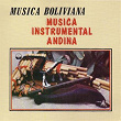 Música Instrumental Andina (Música Boliviana) | Horizontes