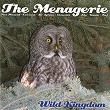 Wild Kingdom | The Menagerie