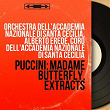 Puccini: Madame Butterfly, Extracts (Mono Version) | Orchestra Dell Accademia Nazionale Di Santa Cecilia