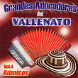 Grandes Adoradores del Vallenato, Vol. 4: Rítmicos | Linaje Ecogido