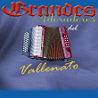 Grandes Adoradores del Vallenato, Vol. 1 | Los Hijos Del Rey