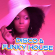 Disco & Funky House | Nu Disco Bitches, Vullet Roux