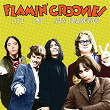 Live in San Francisco 1971 | The Flamin' Groovies