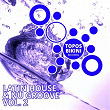 Latin House & Nu Groove, Vol. 2 | Nu Disco Bitches, Vullet Roux