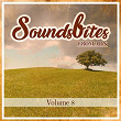 Soundsbites from ADN, Vol. 8 | Sam Wyatt Boruff