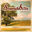 Soundsbites from ADN, Vol. 1 | Chet Blum