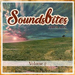 Soundsbites from ADN, Vol. 2 | Amy Jones