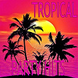 Tropical Party Hits | Anne-caroline Alba