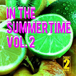 In the Summertime, Vol. 2 | Tropical Flyerz, Jason Rivas