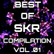 Best of SKR Compilation, Vol. 1 | Rblz