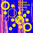 Amazing Tech House Grooves, Vol. 2 | Terry De Jeff, Perruno Luvtrap