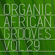 Organic African Grooves, Vol.29 | Celestine Ukwu