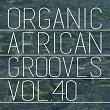 Organic African Grooves, Vol.40 | Celestine Obiako