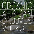 Organic African Grooves, Vol.43 | Christopher Kalu