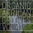 Organic African Grooves, Vol.41 | 6ixx
