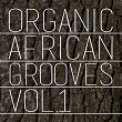 Organic African Grooves, Vol.1 | Maheeda