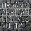 Organic African Grooves, Vol.12 | Annson