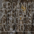 Organic African Grooves, Vol.10 | Daprinze Usifoh