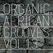 Organic African Grooves, Vol.13 | Abintoolz