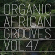 Organic African Grooves, Vol.47 | Chief Inyang
