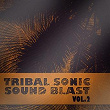 Tribal Sonic Soundblast,Vol.2 | Glem Mena