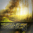 Tribal Sonic Soundblast, Vol. 1 | Aplus