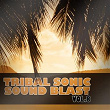 Tribal Sonic Soundblast,Vol.8 | Ab. Ison