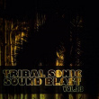 Tribal Sonic Soundblast,Vol.23 | Aleka Master