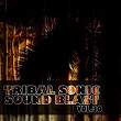 Tribal Sonic Soundblast,Vol.30 | Purpleman