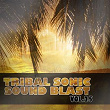 Tribal Sonic Soundblast,Vol.25 | Harry Song