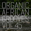Organic African Grooves, Vol.45 | Endee Ikeji