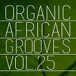 Organic African Grooves, Vol.25 | Aplus