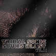 Tribal Sonic Soundblast,Vol.11 | Leriq