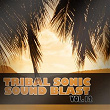 Tribal Sonic Soundblast,Vol.12 | Iq