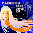 Playdagroove! Winter Sampler 2018 | Jason Rivas, Cosmic Phosphate
