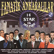 Fanatik Ankaralilar, Vol. 2 (14 Star 16 Hit Eser) | Bülent Gökçe