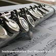 Instrumentales del Mundo, Vol. 2 | Lover Band