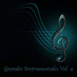 Grandes Instrumentales, Vol. 4 | Grupo Pasión Musical