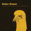 Solan Goose | Erland Cooper