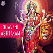 Bhavani Ashtakam | Ketan Patwardhan
