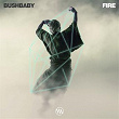 Fire | Bushbaby