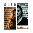 Gulo | Bahar Sariboga