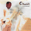 Promesses | Chébli