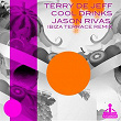 Cool Drinks (Jason Rivas Ibiza Terrace Remix) | Terry De Jeff