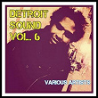 Detroit Sound, Vol. 6 | Pete Hartfield