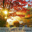 Ambient SoundScapes Vol 24 | Terry Oldfield