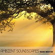 Ambient SoundScapes Vol 25 | Terry Oldfield